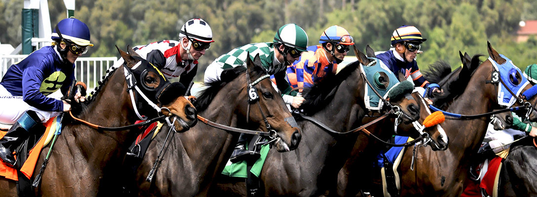 Horses and Jockeys During Derby Day
