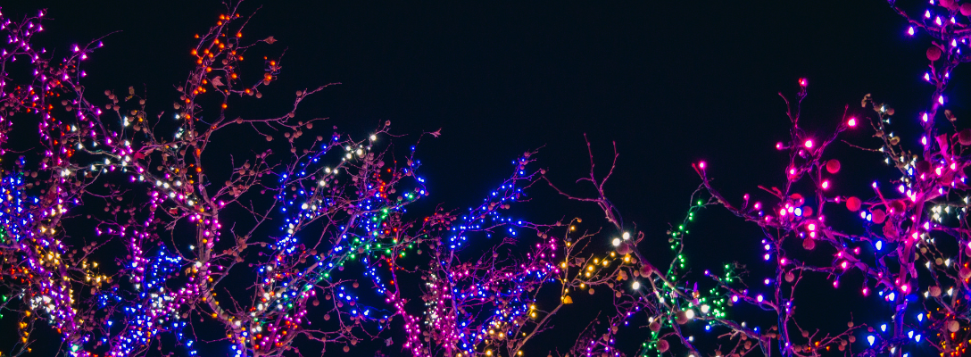 Las Vegas Trees with Holiday Decorations