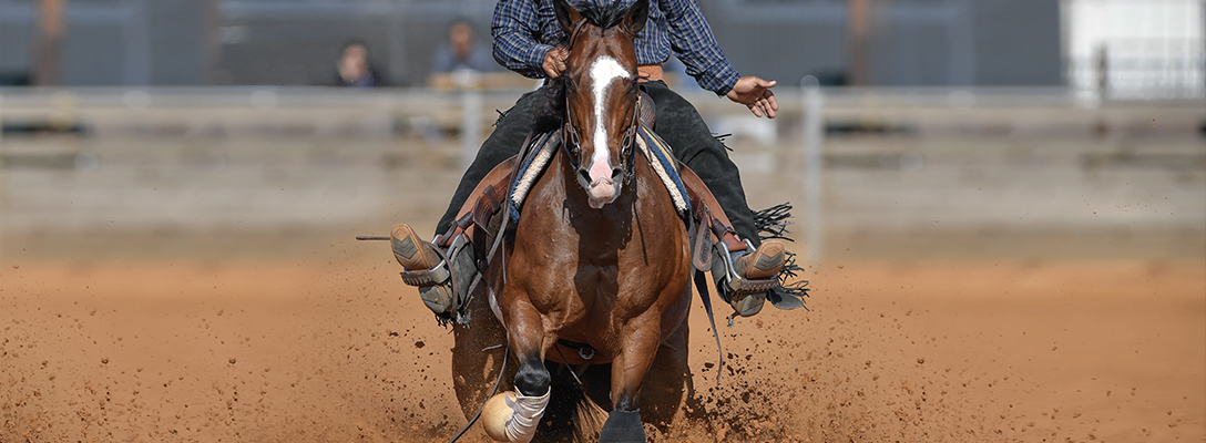 Man Riding Horse in Rodeo Championship Competiti