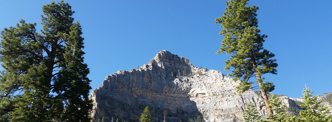 Mount Charleston Hikes Near Las Vegas