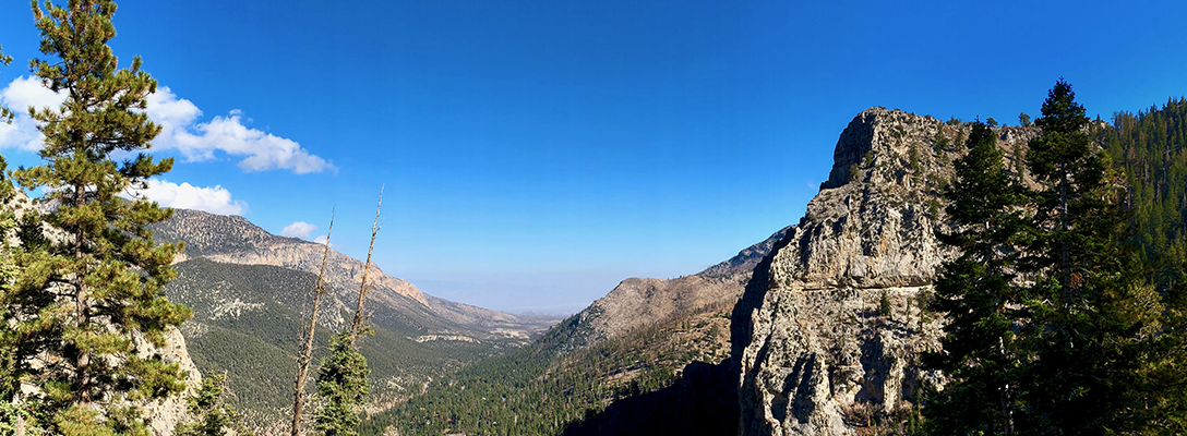 Mt. Charleston Hikes Near Las Vegas