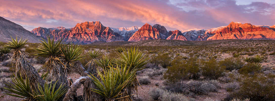 Sunrise at Red Rock Canyon Public Lands in Nevada